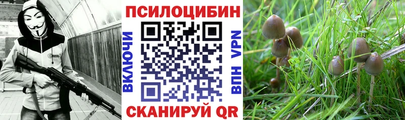 Псилоцибиновые грибы ЛСД  mega как зайти  Солнечногорск  цена наркотик 